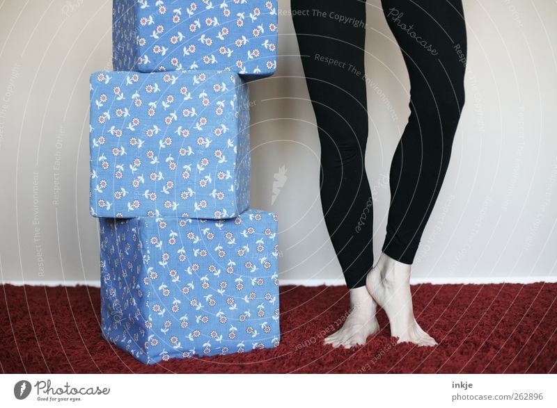 hometraining Lifestyle Freizeit & Hobby Spielen Fitness Sport-Training Sportler Erwachsene Leben Beine 1 Mensch Leggings Kitsch Krimskrams Würfel Blumenmuster