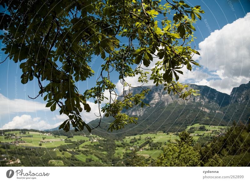 Kleine Welt, große Berge harmonisch Erholung ruhig Ferien & Urlaub & Reisen Tourismus Ausflug Ferne Freiheit Sommerurlaub wandern Umwelt Natur Landschaft Himmel