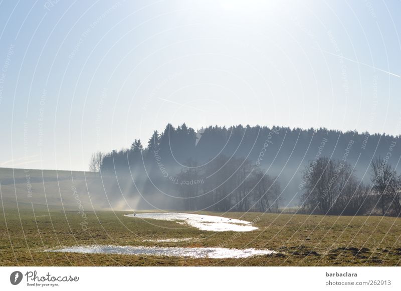 Schneeschmelze Landschaft Wasser Wolkenloser Himmel Sonne Sonnenlicht Frühling Winter Nebel Baum Feld Wald glänzend leuchten hell natürlich blau