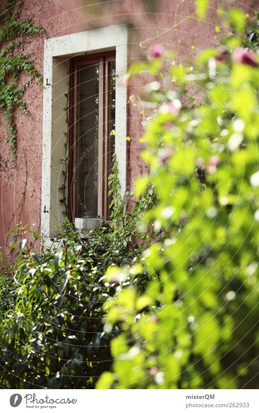 Garten mediterran. Kunst ästhetisch Idylle friedlich Häusliches Leben Vorgarten Italien grün Autofenster Fensterrahmen Fensterladen Hecke Privatsphäre Wand