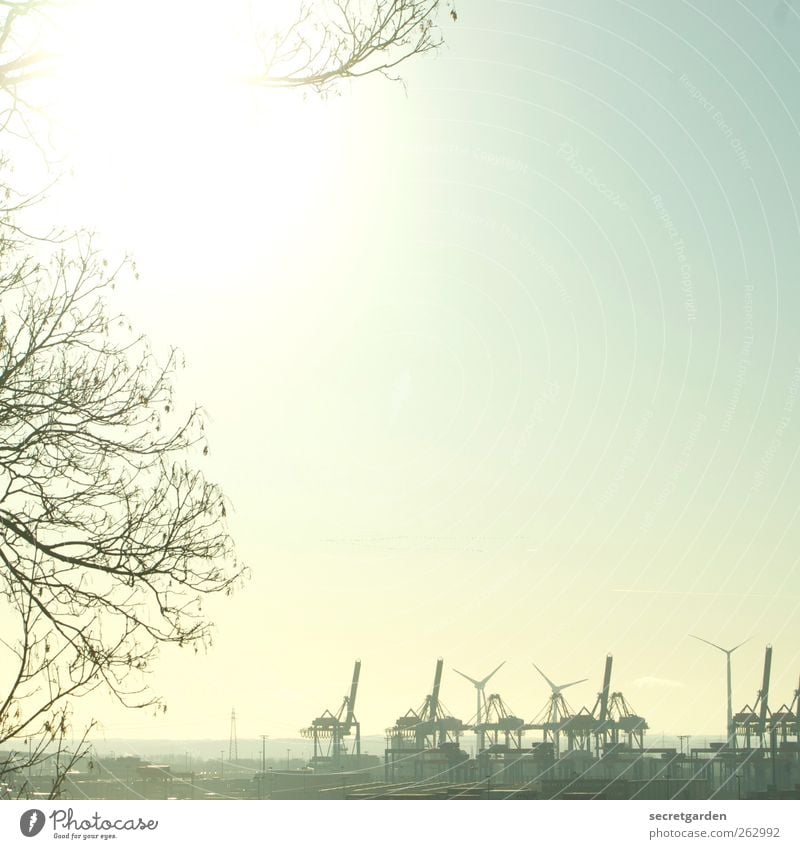 sonnige geburtstagsgrüße aus hamburg an frank! Sightseeing Städtereise Technik & Technologie Windkraftanlage Industrie Wolkenloser Himmel Sommer Schönes Wetter