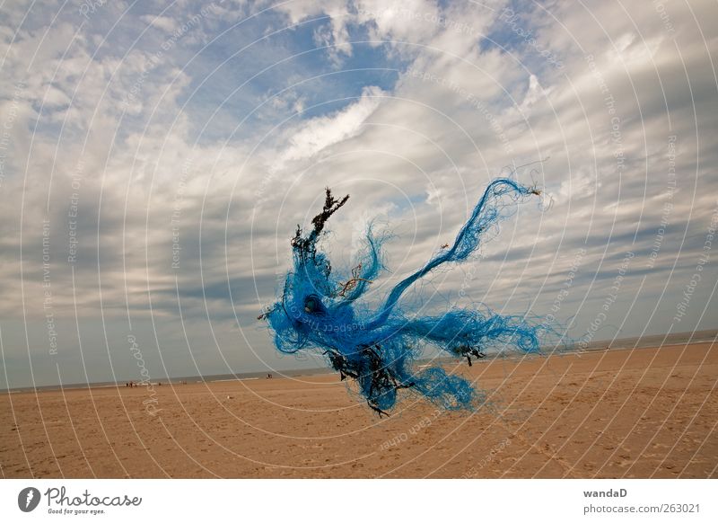 ___________ Umwelt Natur Landschaft Sand Luft Himmel Wolken Horizont Sommer Schönes Wetter Strand Nordsee Insel Menschenleer ästhetisch außergewöhnlich Ferne