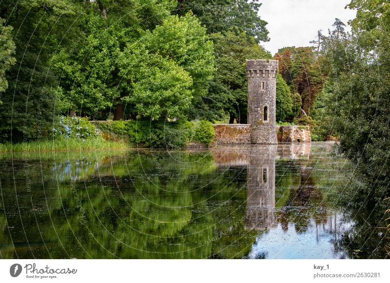 Johnstown Castle Landschaft Wasser Sommer Baum Garten Wald See Burg oder Schloss Turm Sehenswürdigkeit alt ästhetisch grün Vertrauen Schutz geduldig ruhig Stolz