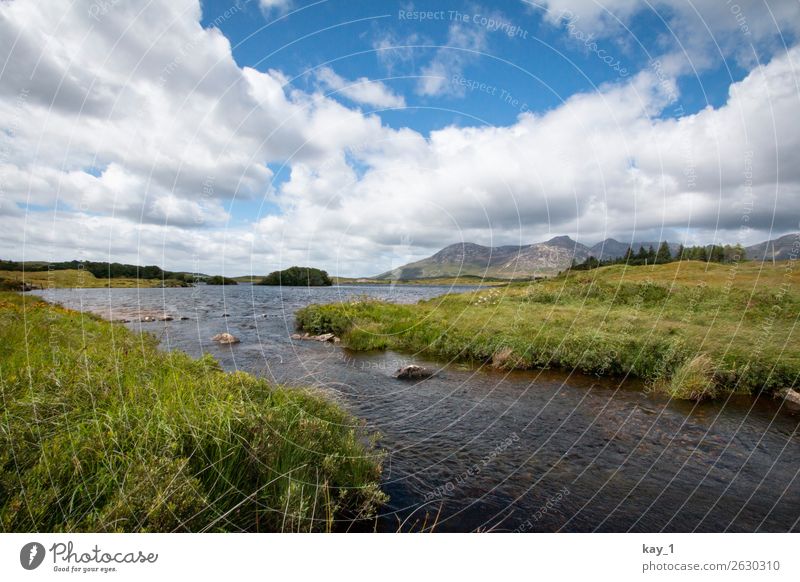 Ein kleiner Fluss zieht durch mit Gras bewachsene Weideflächen, im Hintergrund Berge. Natur Landschaft Wasser Horizont Schönes Wetter Sommer Flussufer