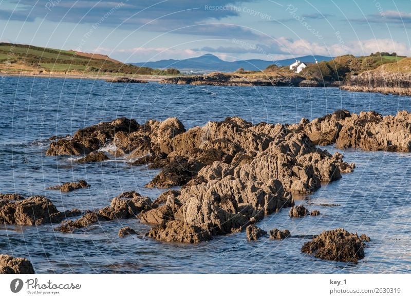 Blue Irish Water Natur Landschaft Wasser Horizont Sonnenlicht Sommer Herbst Schönes Wetter Felsen Küste Seeufer Flussufer Fjord Haus ästhetisch blau ruhig