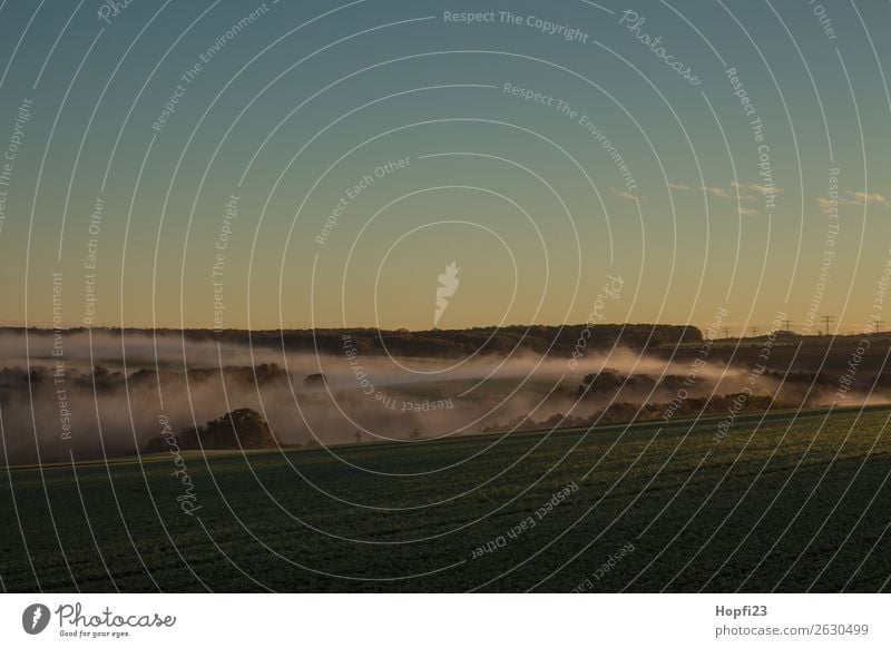 Morgennebel über Möbisburg Umwelt Natur Landschaft Pflanze Himmel Sonne Sonnenaufgang Sonnenuntergang Sonnenlicht Herbst Klima Nebel Feld kalt Wärme blau