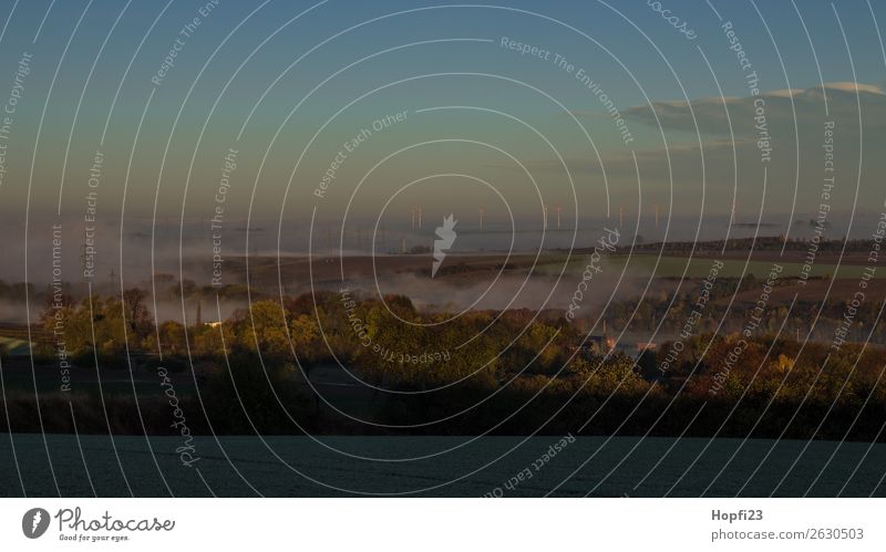 Morgennebel über Möbisburg Umwelt Natur Landschaft Pflanze Himmel Sonne Sonnenaufgang Sonnenuntergang Sonnenlicht Herbst Klima Schönes Wetter Nebel Feld Dorf