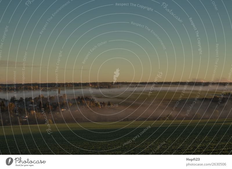 Morgennebel über Möbisburg Umwelt Natur Landschaft Himmel Wolkenloser Himmel Sonne Sonnenlicht Herbst Nebel Feld Dorf Kleinstadt Menschenleer Bauwerk Gebäude