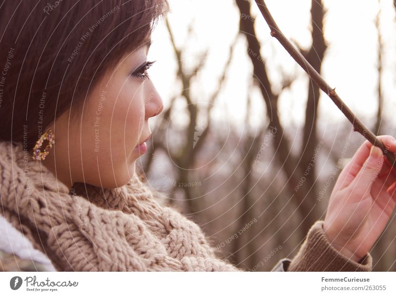 Girl lost in the woods. IV schön feminin Junge Frau Jugendliche Erwachsene Kopf Gesicht 1 Mensch 18-30 Jahre Natur Winter Baum Stil baumzweig Chinesisch Chinese