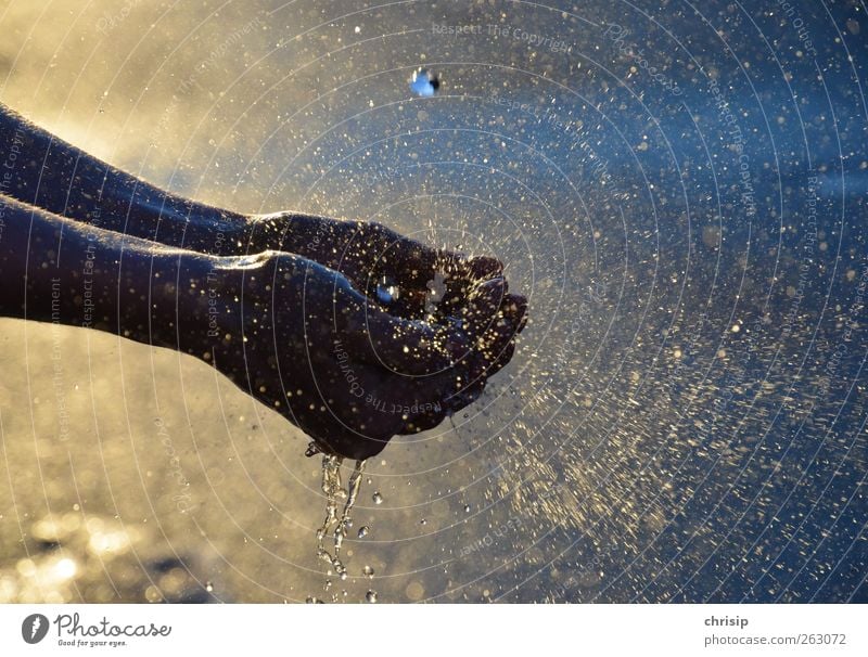 Hände waschen Körperpflege Haut Sonne Hand Finger 1 Mensch Wasser Wassertropfen Sonnenlicht Schönes Wetter schlechtes Wetter Regen dreckig nass Sauberkeit blau