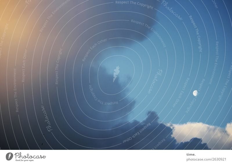 Großes Kino Himmel Wolken Mond Schönes Wetter Wind frei gigantisch Unendlichkeit natürlich schön Kraft Macht Geborgenheit authentisch Weisheit Ausdauer Reinheit