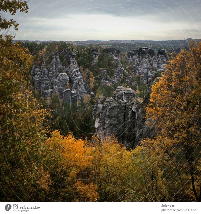 gute Aussichten Ferien & Urlaub & Reisen Tourismus Ausflug Abenteuer Ferne Freiheit Sightseeing Expedition Umwelt Natur Landschaft Horizont Herbst Baum Felsen