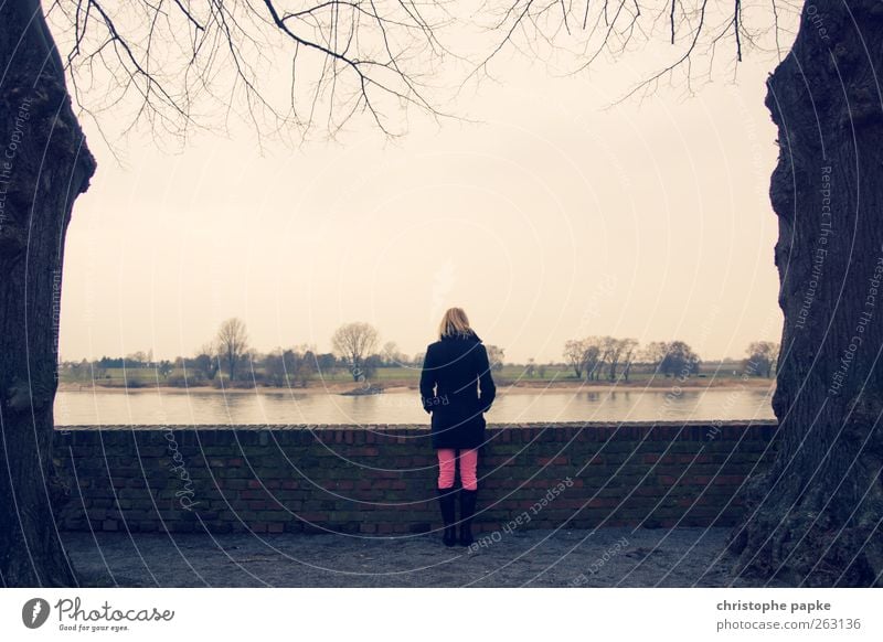 Rheinblick Sightseeing feminin 1 Mensch Himmel Wolkenloser Himmel Baum Flussufer stehen blond Unendlichkeit Einsamkeit Ferne Außenaufnahme Textfreiraum oben Tag