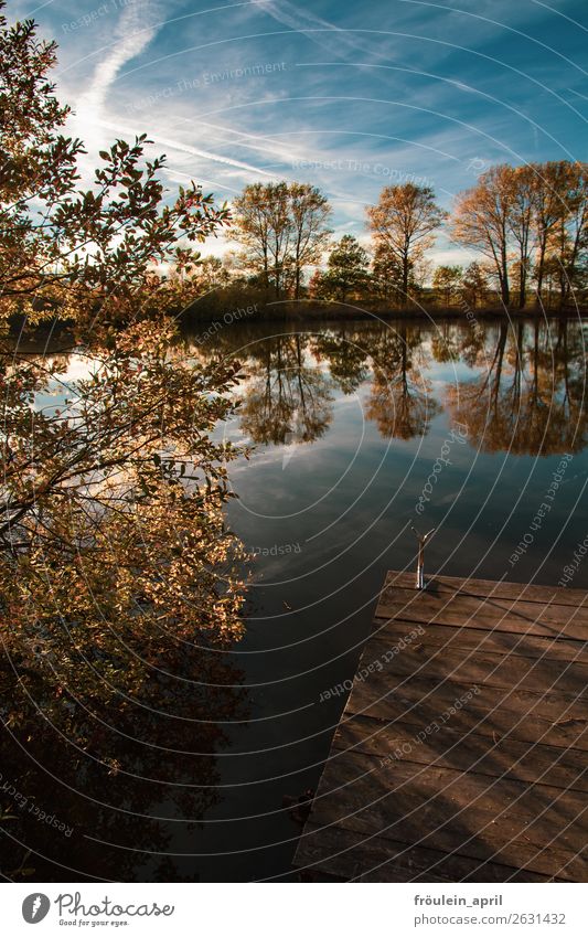 hidden spot ruhig Landschaft Wasser Himmel Herbst Baum Teich blau braun Zufriedenheit Lebensfreude achtsam Einsamkeit Horizont Idylle Natur Ferne stagnierend