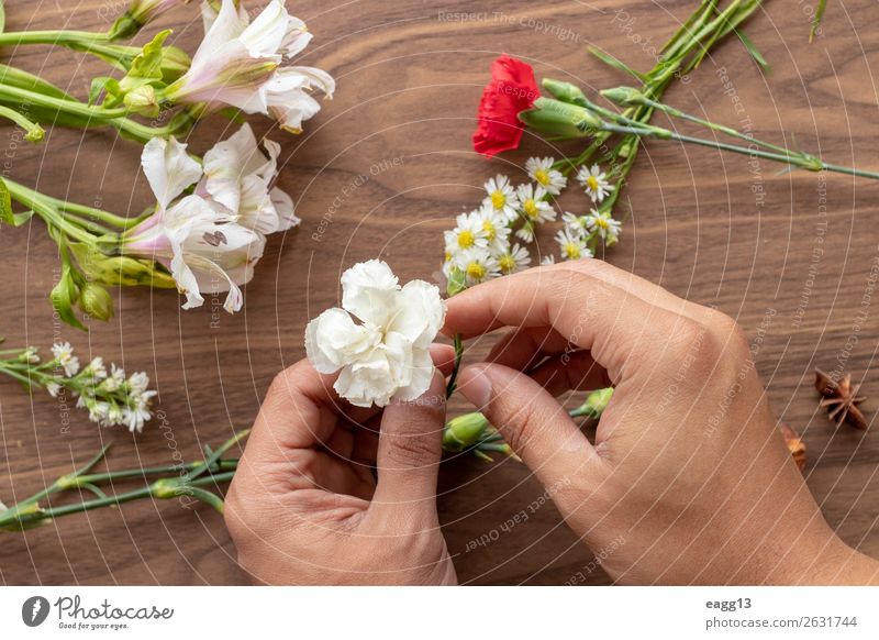 Blumen mit den Händen halten Stil schön Garten Dekoration & Verzierung Tisch Arbeit & Erwerbstätigkeit Gartenarbeit Mensch Hand Natur Pflanze Frühling Rose