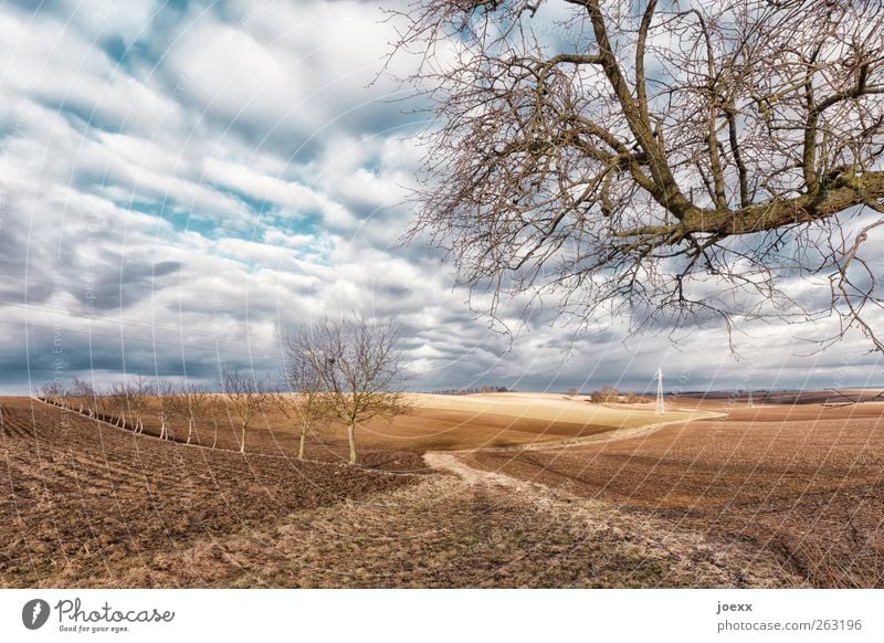 Feldweg Landschaft Erde Himmel Wolken Frühling Winter Schönes Wetter Baum Wege & Pfade alt blau braun weiß Idylle ruhig Farbfoto mehrfarbig Außenaufnahme