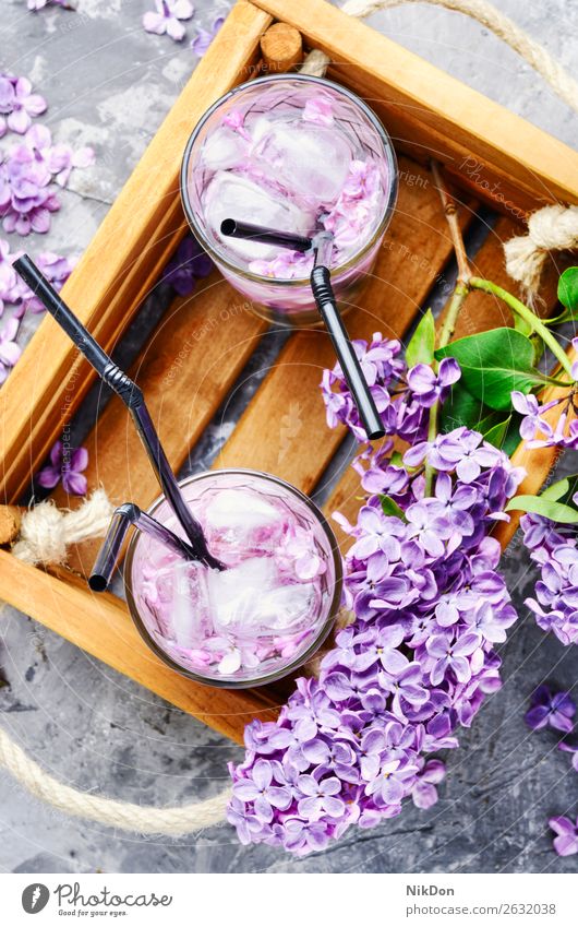 Erfrischungsgetränk mit Flieder und Eis trinken Glas Fliederbusch Cocktail Getränk Blume Saft kalt Wasser Sommer Bar Gesundheit natürlich violett cool liquide