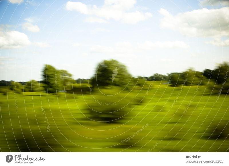 fast german summer II harmonisch Garten Umwelt Natur Landschaft Pflanze Tier Luft Himmel Wolken Sommer Klima Klimawandel Schönes Wetter Baum Sträucher Feld