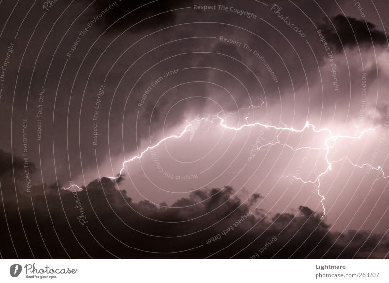 Blitze in der Nacht Natur Urelemente Feuer Luft nur Himmel Gewitterwolken Nachthimmel Klima Wetter schlechtes Wetter Unwetter beobachten leuchten Aggression