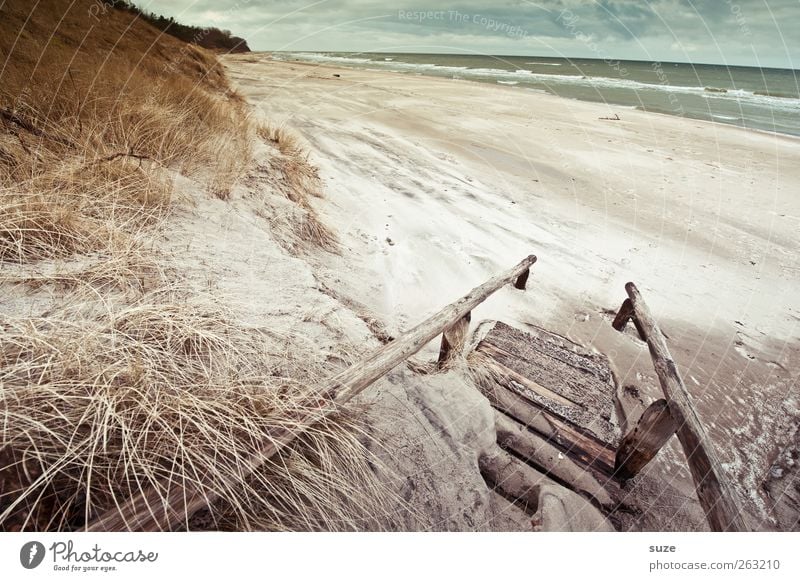 Meerluft Umwelt Natur Landschaft Pflanze Urelemente Sand Wasser Himmel Wolken Horizont Winter Klima Wetter Gras Wellen Küste Strand Ostsee Treppe Wege & Pfade