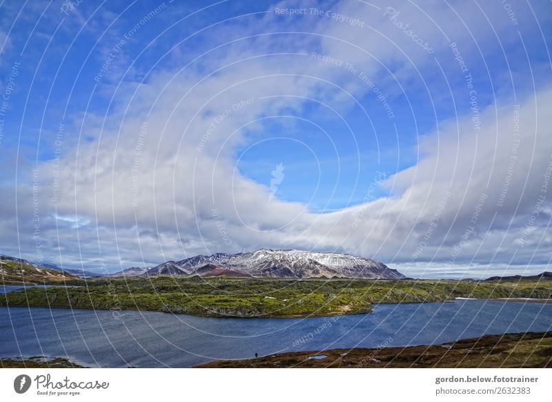 Felsen im Meer Natur Landschaft Pflanze Urelemente Erde Wasser Himmel Wolken Schönes Wetter Moos Küste Bucht Stein Erholung fantastisch Gefühle Glück