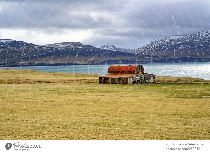 Freiheit Umwelt Natur Landschaft Pflanze Wetter Gras Moos Feld Hügel Schneebedeckte Gipfel Küste Bucht Menschenleer Hütte Stein Sand Wasser entdecken Erholung