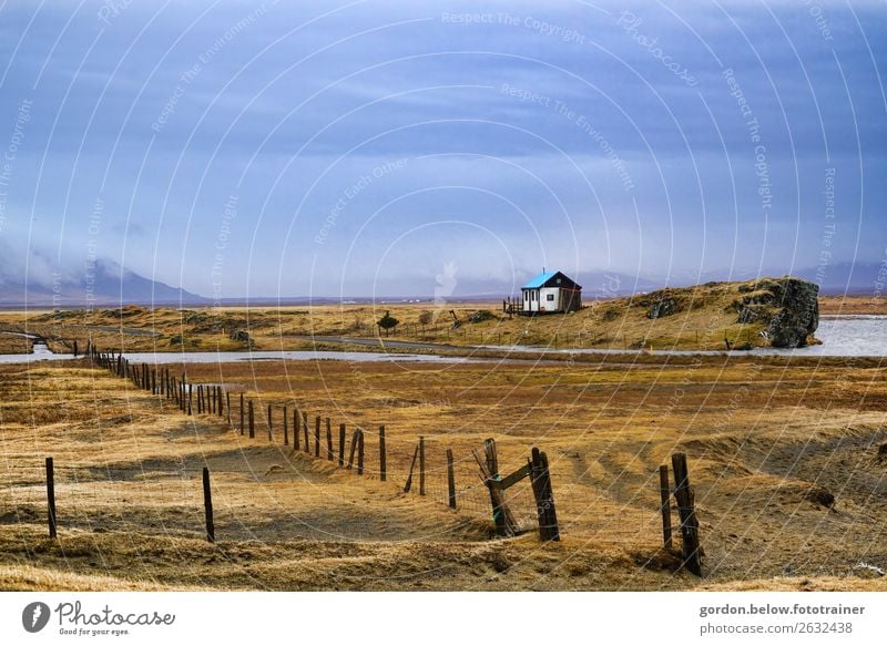 Einsamkeit am Meer Natur Landschaft Pflanze Urelemente Erde Sand Wasser Himmel Wolken Gras Moos Felsen Schneebedeckte Gipfel fantastisch Gefühle Zufriedenheit