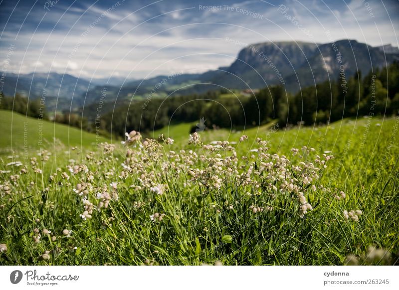 Traumlandschaft harmonisch Wohlgefühl Erholung ruhig Ferien & Urlaub & Reisen Tourismus Ausflug Abenteuer Ferne Freiheit Umwelt Natur Landschaft Sommer