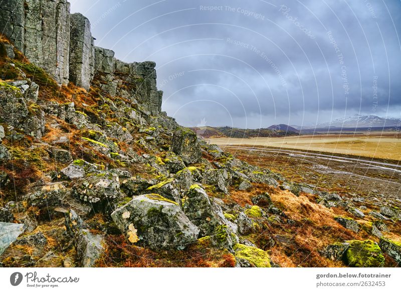 Steingewächse Natur Landschaft Pflanze Urelemente Erde Himmel Wolken Herbst Moos Felsen Gletscher Bewegung außergewöhnlich bedrohlich Gefühle Vorfreude Kraft