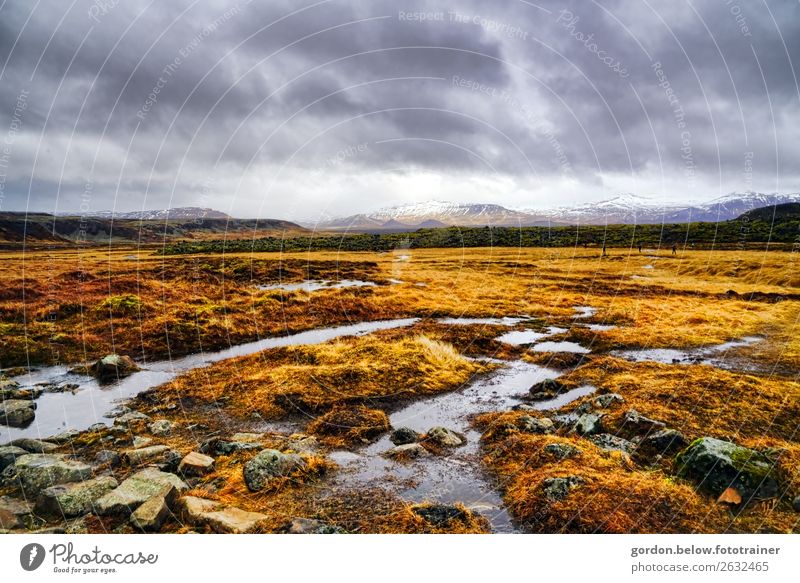 unendliche Weiten Natur Landschaft Pflanze Erde Feuer Wasser Wetter Wind Gras Moos Berge u. Gebirge Schneebedeckte Gipfel beobachten außergewöhnlich einfach