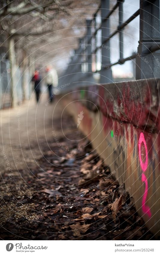 i . Graffiti Herbst Winter Schriftzeichen rosa Blatt Wege & Pfade Geländer Unschärfe Mensch Schilder & Markierungen herbstlich stehen Information Farbfoto