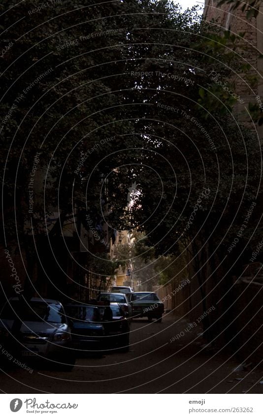 Kairo Dorf Kleinstadt Stadt Stadtrand Haus Personenverkehr Straße Fahrzeug PKW dunkel Gasse Farbfoto Gedeckte Farben Außenaufnahme Menschenleer Dämmerung Licht