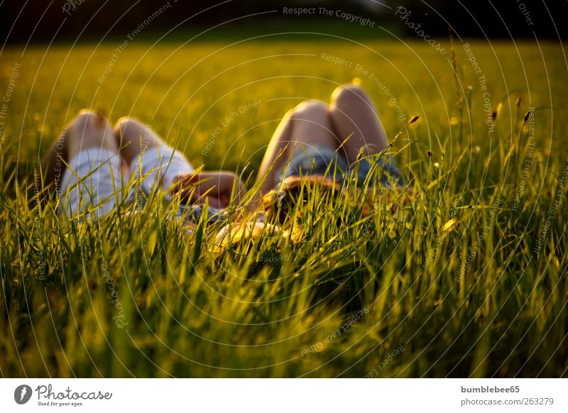 to relax harmonisch Wohlgefühl Zufriedenheit ruhig Sonnenbad Mensch feminin Junge Frau Jugendliche Erwachsene 2 13-18 Jahre Kind Natur Sonnenaufgang