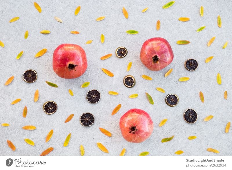 Herbstfrüchte und bunte Aschebaumblätter Frucht schön Kunst Natur Baum Blatt Beton hell natürlich gelb gold grau grün rot Farbe Granatapfel Aschbeere Vogelbeere