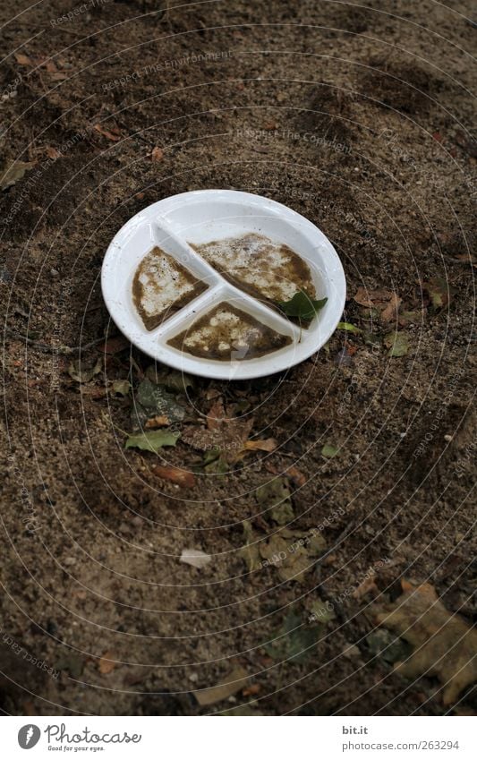 Drecksfraß... Urelemente Erde Schalen & Schüsseln dreckig rund braun weiß Teller Geschirr Teilung Speiserest Schweinerei Farbfoto Außenaufnahme Menschenleer