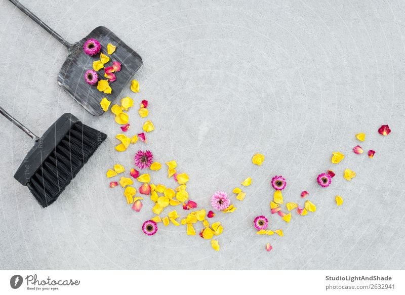 Trockenblumen und Rosenblätter auf der Gartenterrasse wegfegen schön Sommer Gartenarbeit Werkzeug Natur Landschaft Herbst Blume Terrasse Beton Metall alt