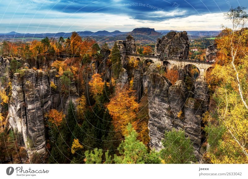 Elbe. Sand. Stein. Natur Landschaft Herbst Schönes Wetter Wald Berge u. Gebirge Mauer Wand Sehenswürdigkeit Basteibrücke hoch blau braun mehrfarbig gelb grün