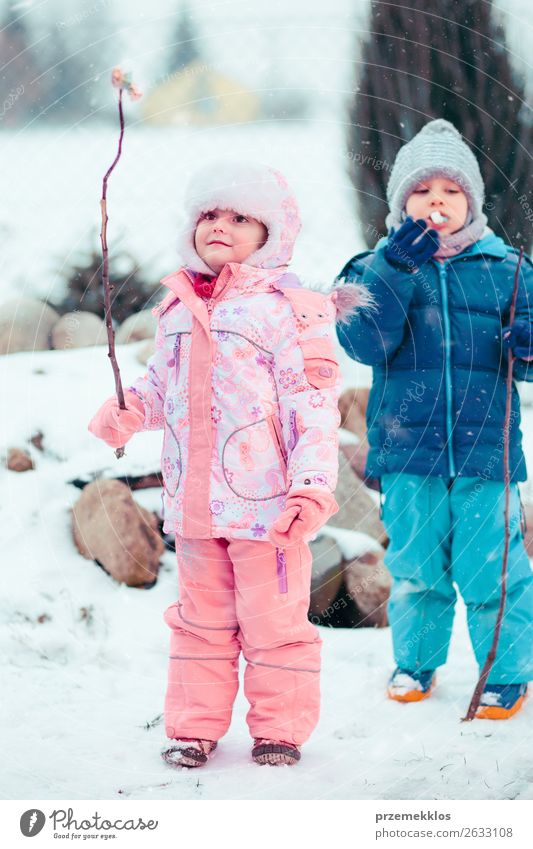 Kinder genießen Marshmallows, die am Lagerfeuer zubereitet werden. Lebensmittel Dessert Süßwaren Lifestyle Freude Glück Winter Schnee Winterurlaub Mensch