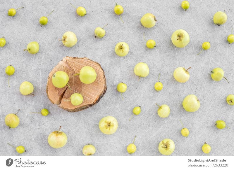 Wilde Äpfel und Apfelbaumstumpf auf Betonuntergrund Frucht Sommer Garten Gartenarbeit Natur Herbst Baum Holz natürlich wild gelb grau grün Farbe Obstgarten