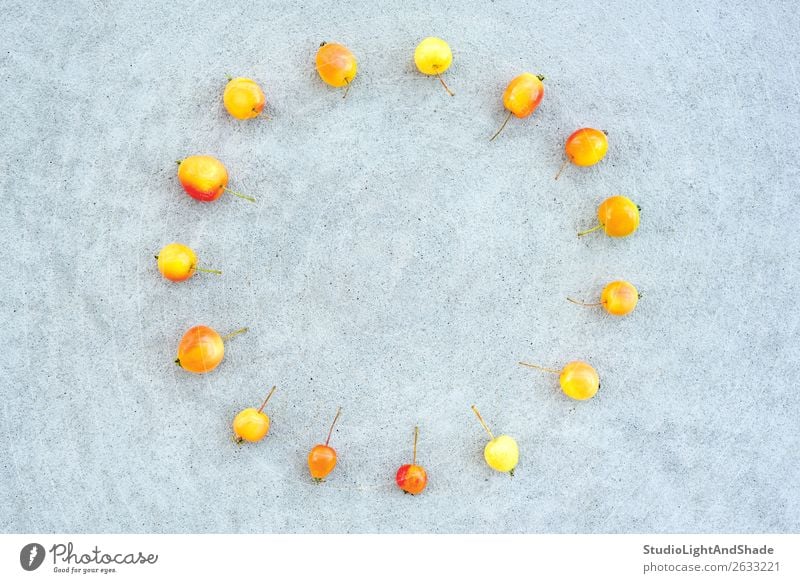 Kreis der Wildkirschäpfel auf Betonuntergrund Frucht Apfel Sommer Sonne Garten Uhr Gartenarbeit Natur Herbst Baum hell klein natürlich wild gelb grau rot Farbe