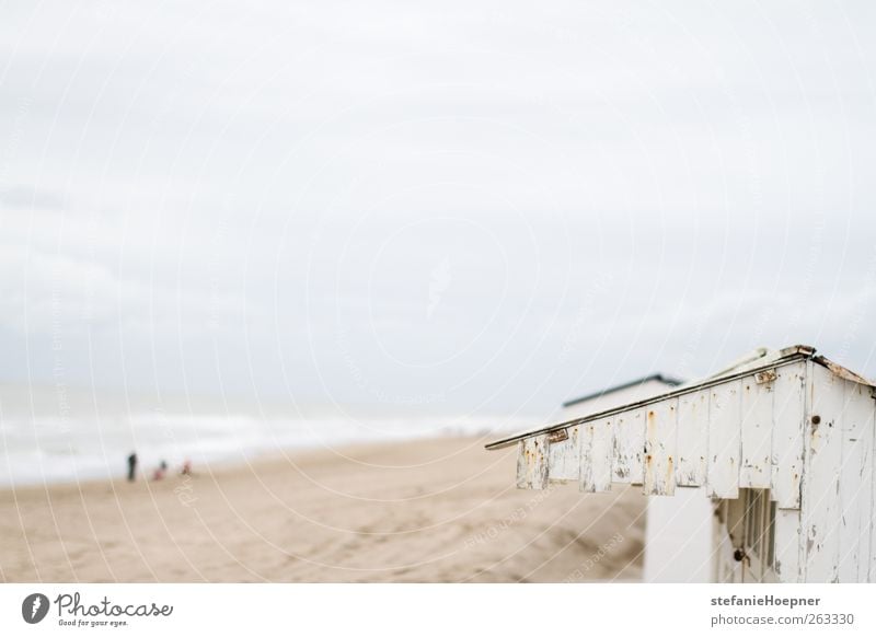 seasons change Ferien & Urlaub & Reisen Ausflug Strand Meer Mensch Leben Natur Herbst Küste Nordsee Erholung gehen Spielen wandern Lebensfreude Freundschaft