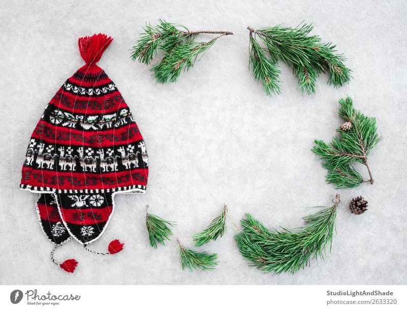 Roter Winterhut und grüne Kiefernäste Stil Dekoration & Verzierung Weihnachten & Advent Natur Pflanze Wärme Baum Mode Bekleidung Hut Beton Ornament einfach