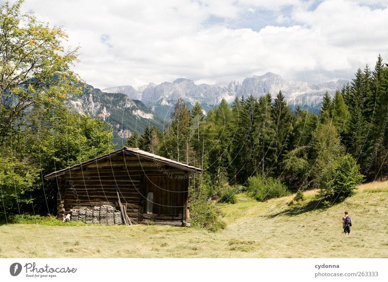 Auf Wanderschaft Leben Erholung ruhig Ferien & Urlaub & Reisen Tourismus Ausflug Ferne Freiheit Sommerurlaub wandern Mensch 1 Umwelt Natur Landschaft Wiese Wald