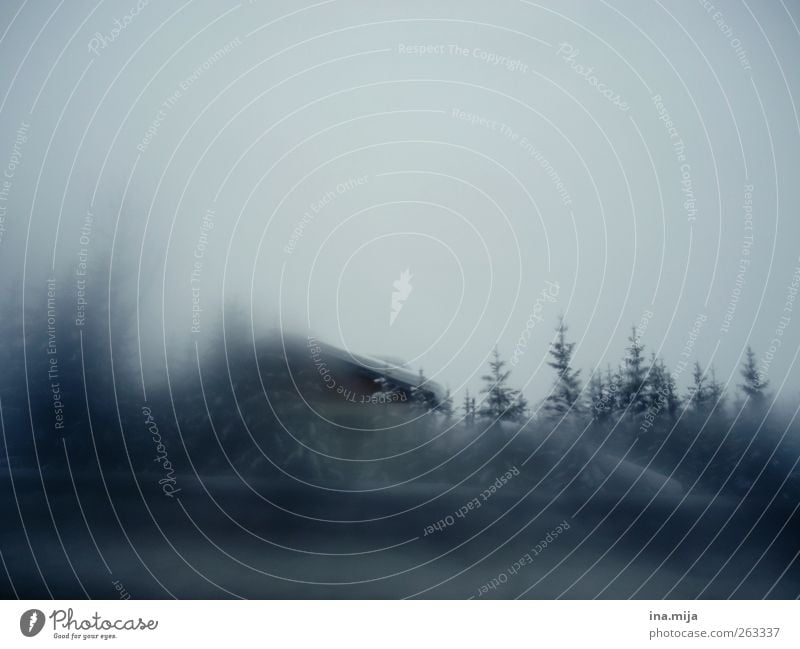 Bauernhaus im Winter_Alpen Umwelt Natur Landschaft Wolkenloser Himmel Wetter schlechtes Wetter Unwetter Sturm Nebel Eis Frost Schnee Baum Wald Berge u. Gebirge