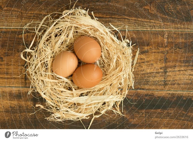 Eier auf Stroh Lebensmittel Frühstück Tisch Küche Ostern Menschengruppe Tier Vogel Holz frisch natürlich braun gelb weiß organisch Nest Gesundheit Bauernhof