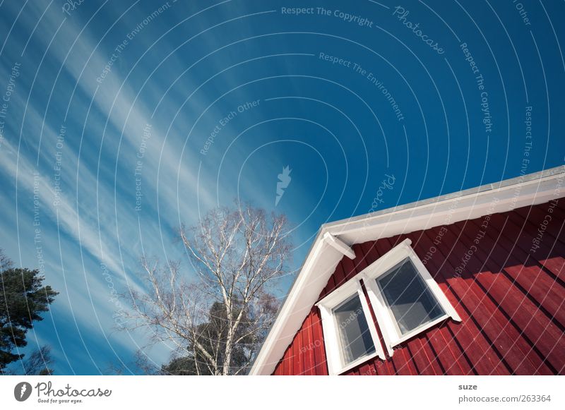 Fliehendes Dach Ferien & Urlaub & Reisen Häusliches Leben Wohnung Haus Umwelt Himmel Klima Schönes Wetter Baum Hütte Fassade Fenster Holz authentisch nachhaltig