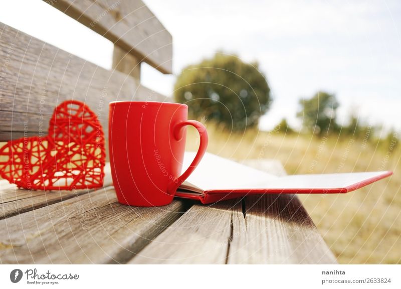 Rote Tasse mit Kaffee auf einer Holzbank im Freien am Morgen. Frühstück Heißgetränk Tee Winter Buch Herbst Wärme Herz lecker rot Becher sonnig fallen rustikal