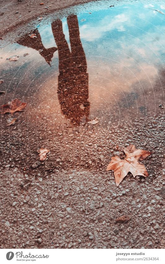 Spiegelbild in einer Pfütze einer Frau mit ihrem Hund Lifestyle schön Winter Mensch Freundschaft Erwachsene Tier Himmel Herbst Unwetter Regen Blatt Liebe dunkel