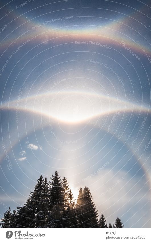 Eiskalt ist es heute morgen. Parrybogen, Zirkumzenitalbogen, Halo. Naturphänomen. Himmel Winter Schönes Wetter Frost leuchten Hoffnung demütig Erscheinung