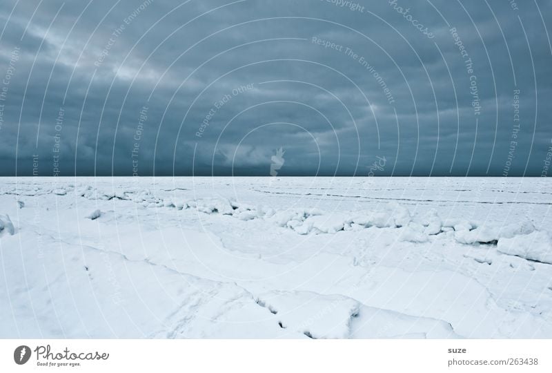 Eiswüste Umwelt Natur Landschaft Urelemente Himmel Wolken Horizont Winter Klima Sturm Frost Schnee Küste Strand Ostsee Meer Insel außergewöhnlich dunkel einfach